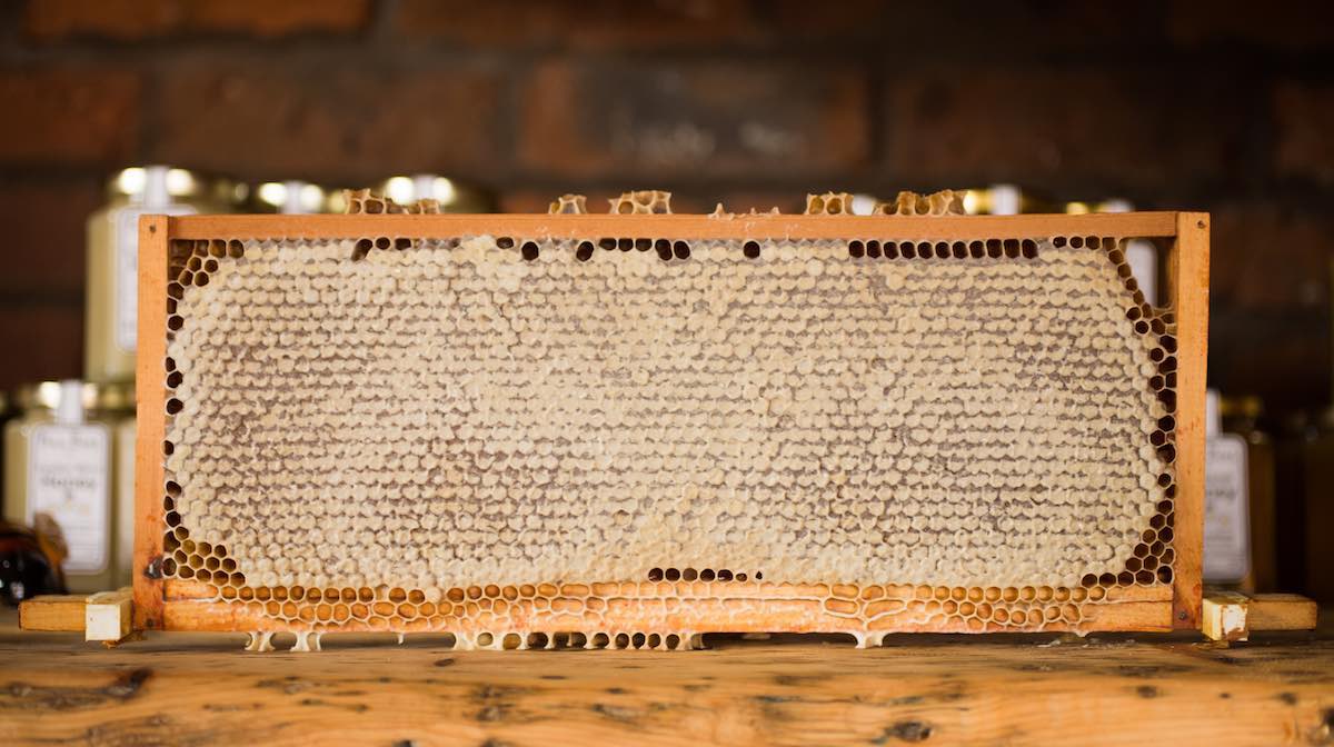 Bienenwaben: Bienenwachs als Power-Stoff für die Naturkosmetik